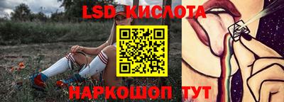 СК Донецк