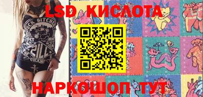 спиды Дубна