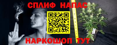 тгк Донской