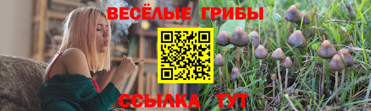 Галлюциногенные грибы ЛСД Луховицы